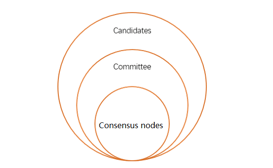 Neo's governance strategy, from the project documentation (Neo)