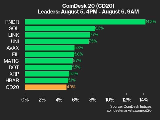 9am CoinDesk 20 Update for 2024-08-06: Leaders