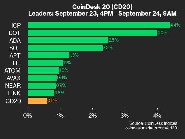 9am CoinDesk 20 Update for 2024-09-24: leaders