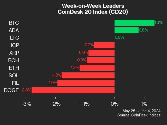 cd20 leaders