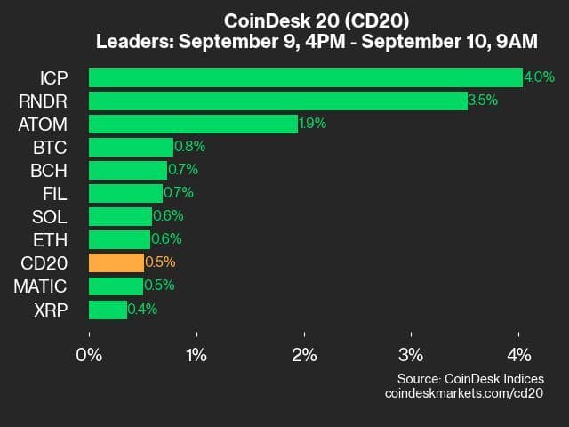 9am CoinDesk 20 Update for 2024-09-10: leaders