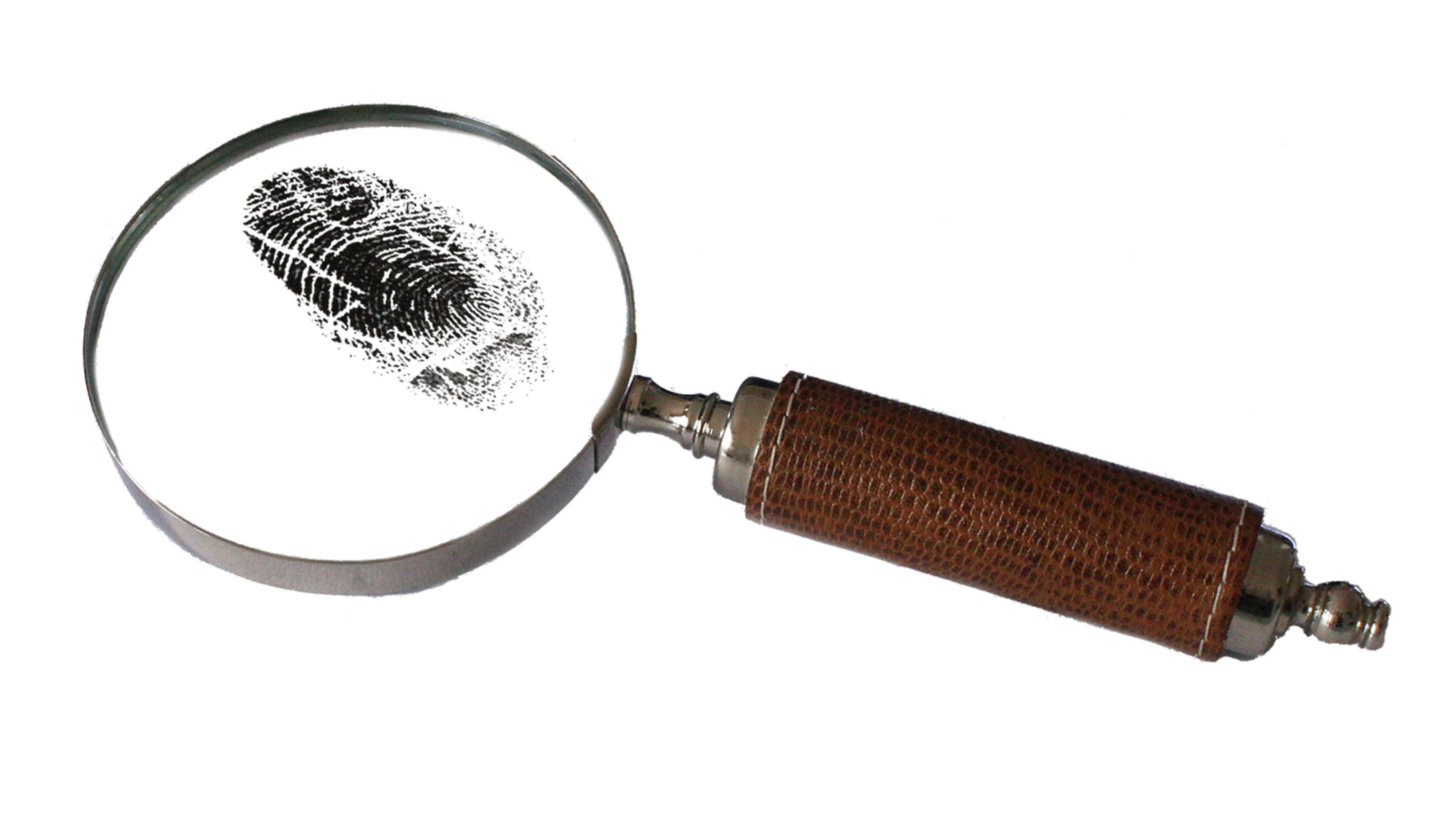 Fingerprint view from magnifying glass (bluebudgie/Pixabay)