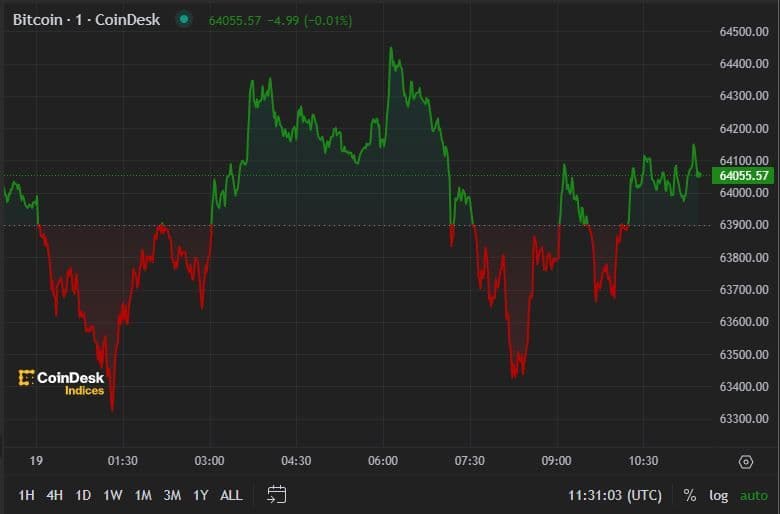 BTC price, FMA July 19 2024 (CoinDesk)