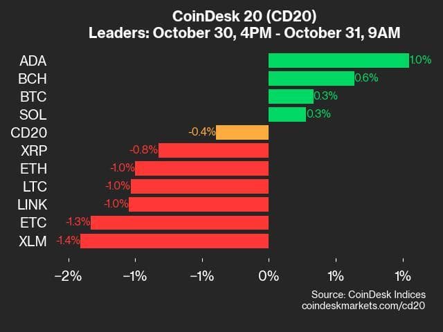 9am CoinDesk 20 Update for 2024-10-31: leadeers