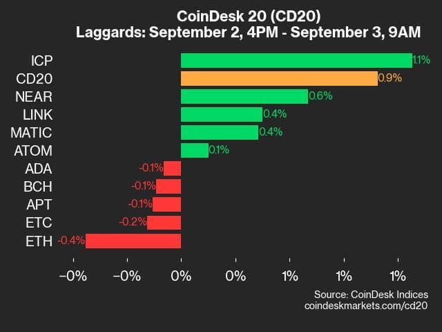 9am CoinDesk 20 Update for 2024-09-03: laggards