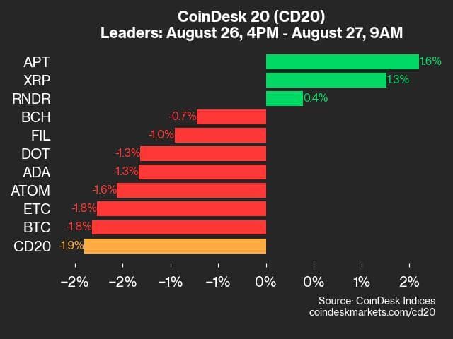 9am CoinDesk 20 Update for 2024-08-27: leaders