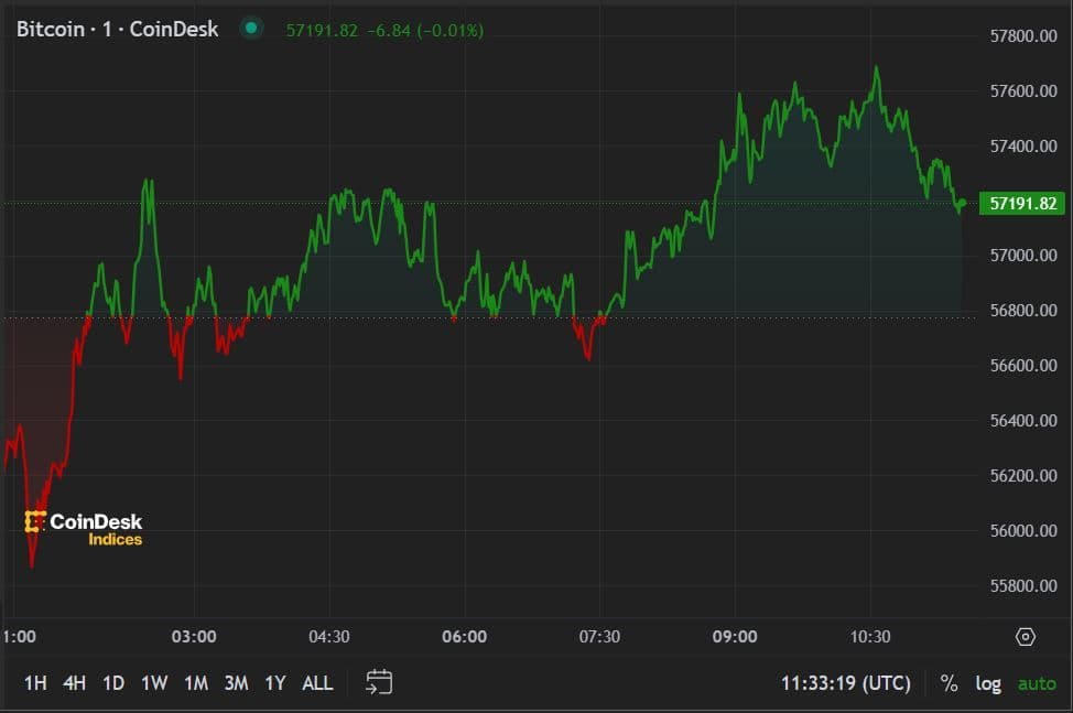 BTC price, FMA Aug. 7 2024 (CoinDesk)