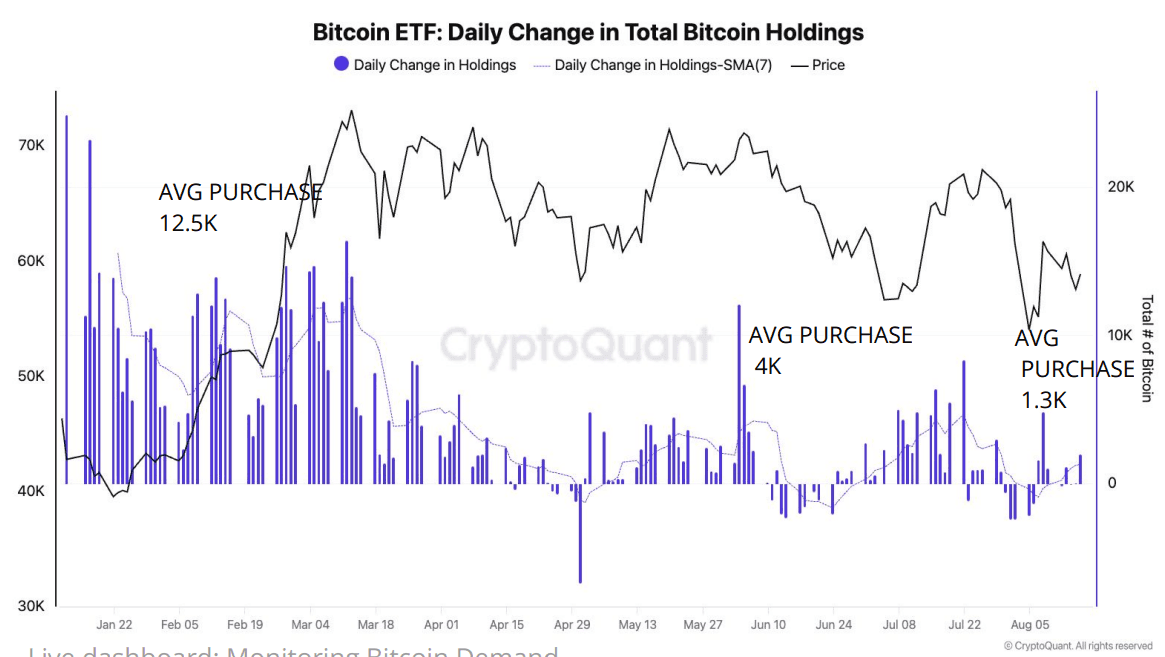 (CryptoQuant)