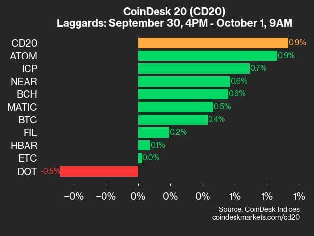 9am CoinDesk 20 Update for 2024-10-01: laggards