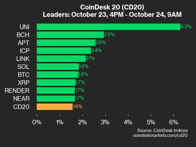 9am CoinDesk 20 Update for 2024-10-24: leaders