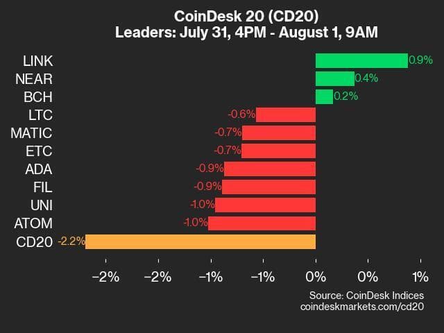 9am CoinDesk 20 Update for 2024-08-01: Leaders