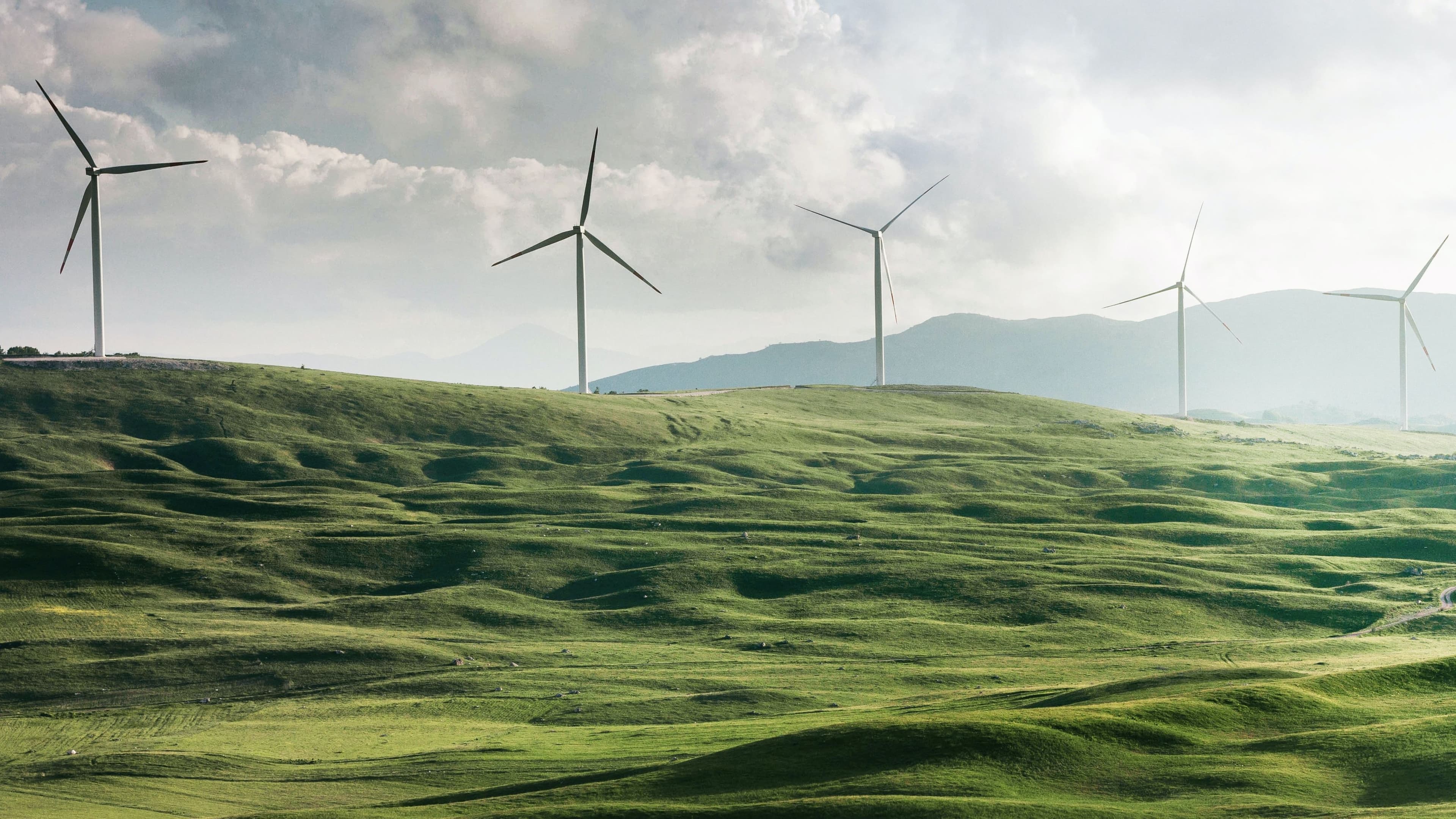 wind farm windmills