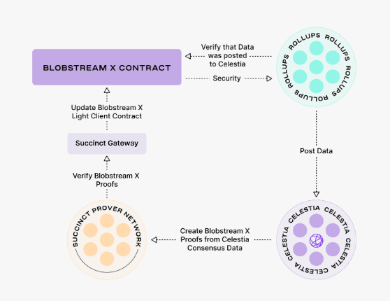 Schematic showing how Celestia's Blobstream works. (Celestia)