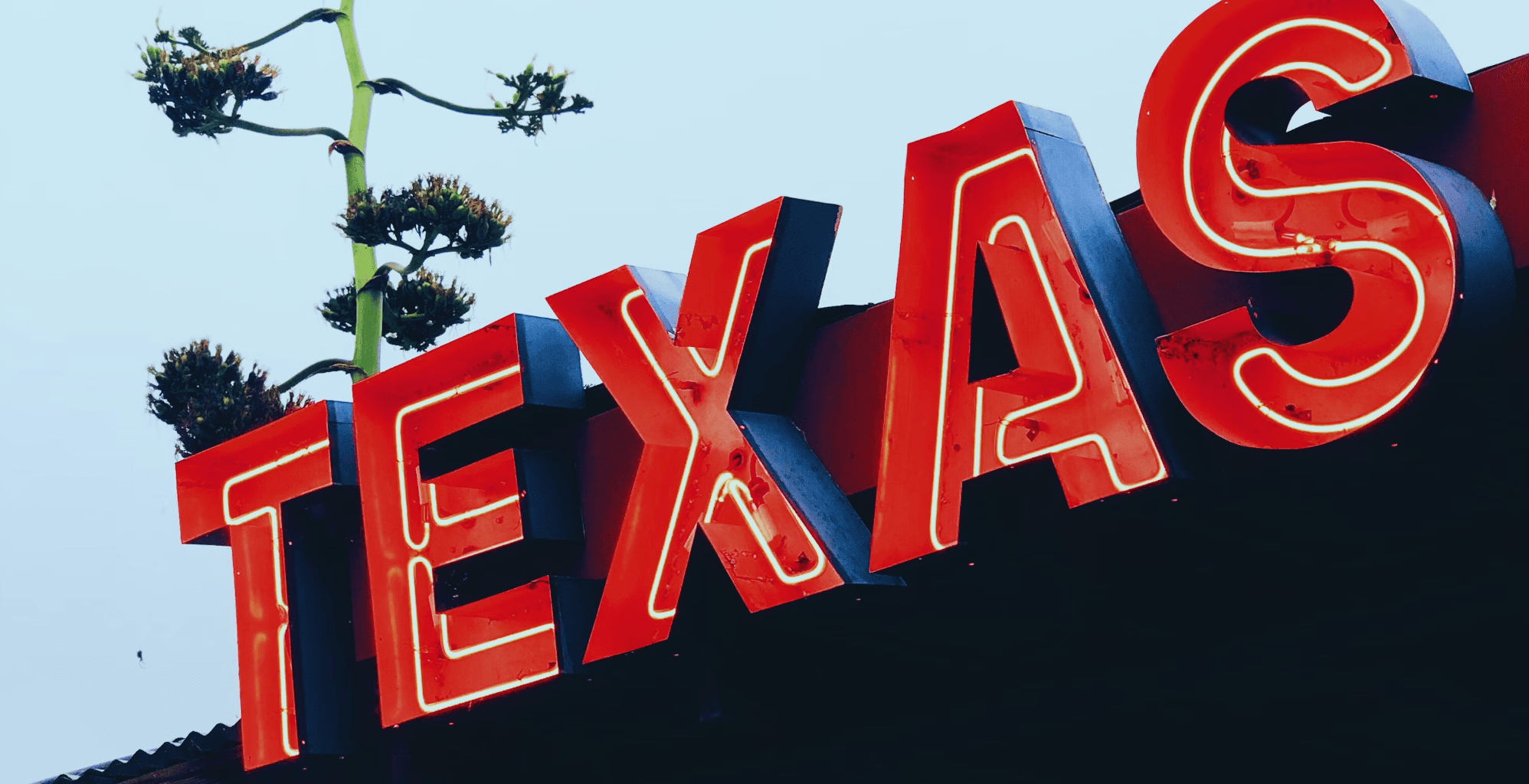 Texas, (Enrique Macias/Unsplash)