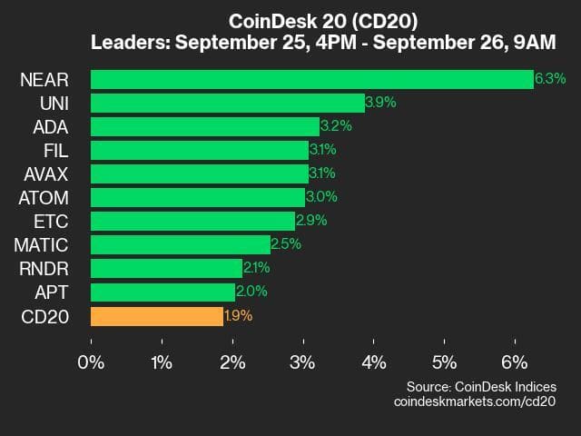 9am CoinDesk 20 Update for 2024-09-26: leaders