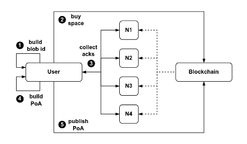 Figure from Walrus white paper illustrating the Walrus write flow. "The user generates the blob ID of the file they wish to store; acquire storage space through the blockchain; submit the encoded file to Walrus; collect 2f+1 acknolwedgements; and submit them as proof of availability to the blockchain." (Walrus white paper)