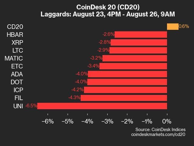 9am CoinDesk 20 Update for 2024-08-26: Laggards