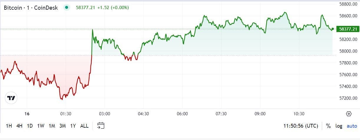 BTC price, FMA Aug. 16 2024 (CoinDesk)