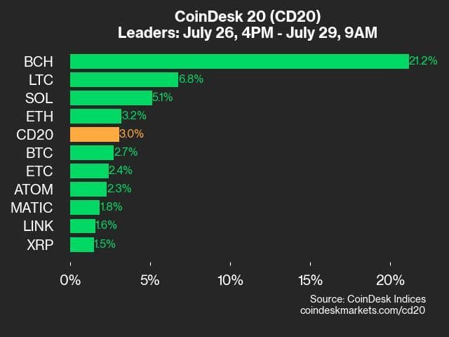 9am CoinDesk 20 Update for 2024-07-29: leaders