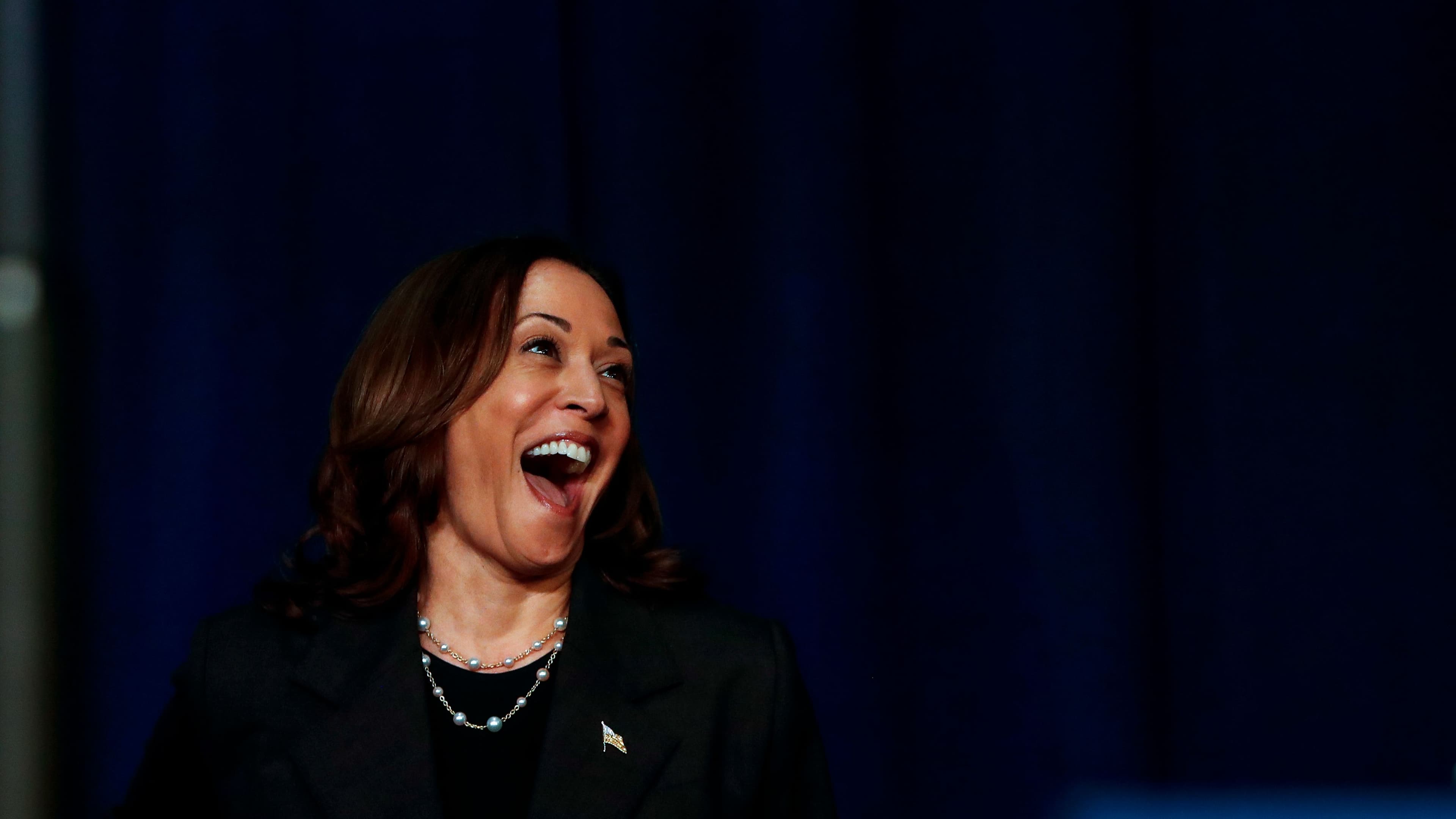 Kamala Harris (Chris duMond/Getty Images)