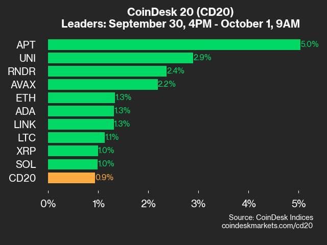 9am CoinDesk 20 Update for 2024-10-01: leaders