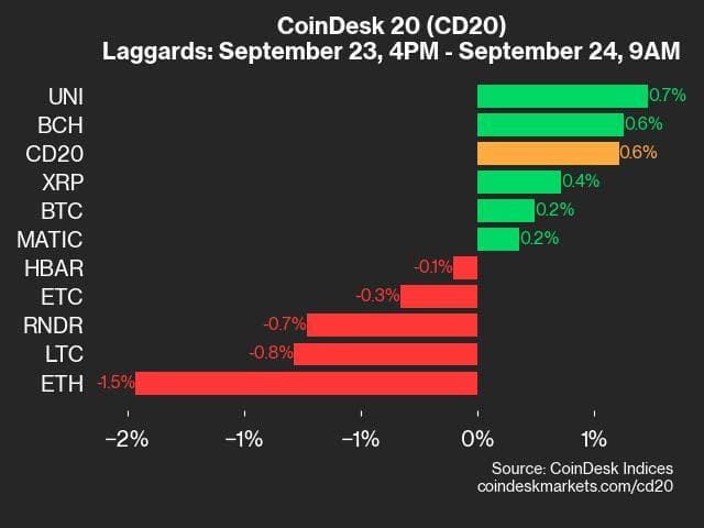 9am CoinDesk 20 Update for 2024-09-24: laggards