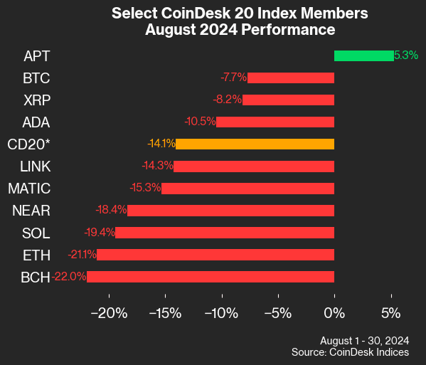 CoinDesk 20 August Performance