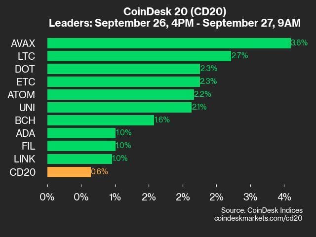 9am CoinDesk 20 Update for 2024-09-27: leaders