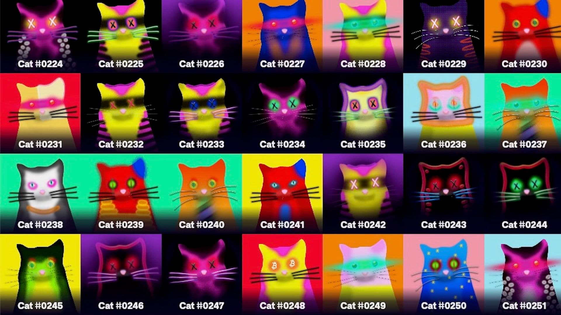 Screenshot of "Quantum Cats" collection from the project's website. (Quantum Cats/Taproot Wizards)