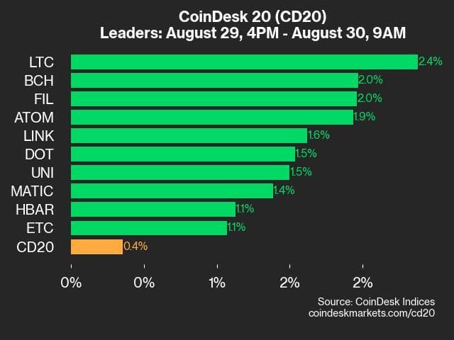 9am CoinDesk 20 Update for 2024-08-30: Leaders