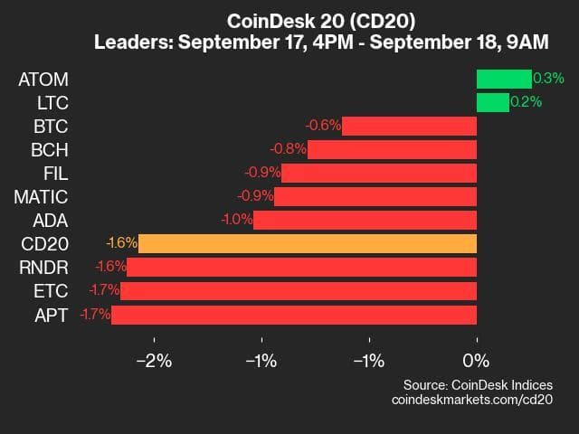 9am CoinDesk 20 Update for 2024-09-18: leaders