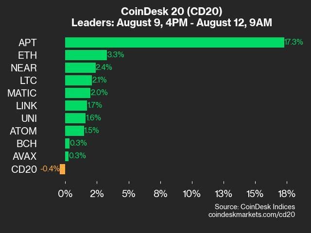 9am CoinDesk 20 Update for 2024-08-12: leaders