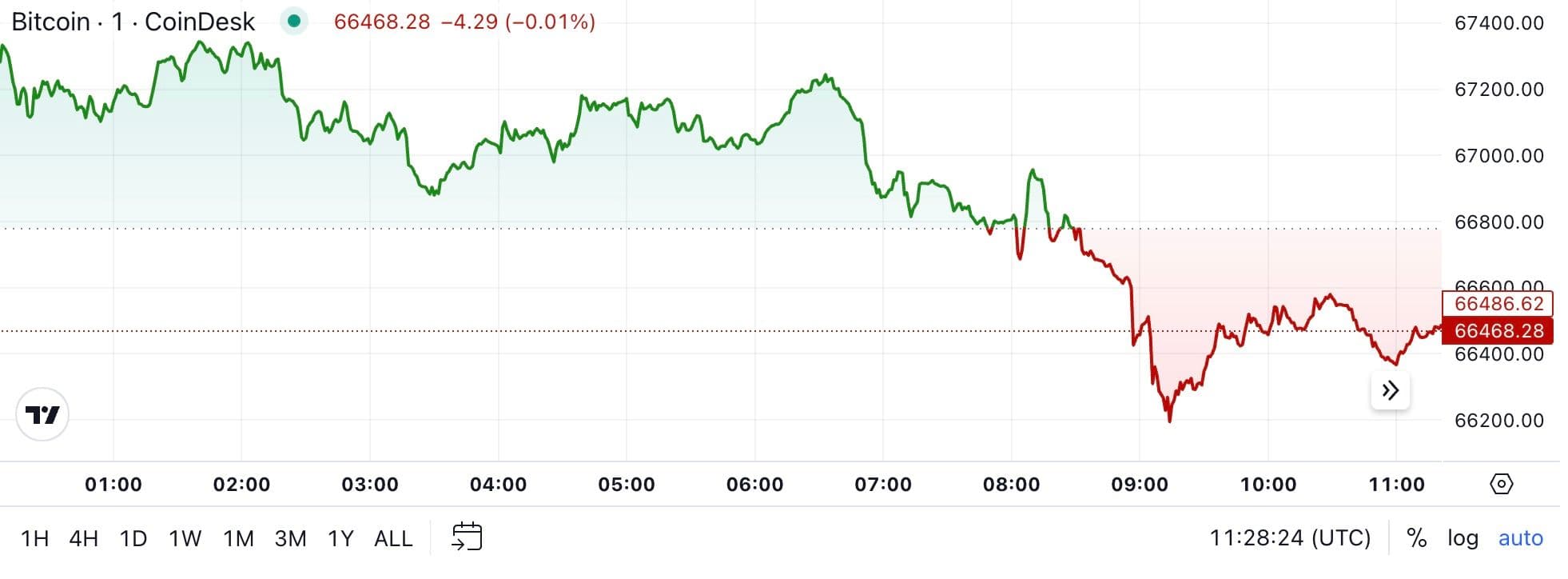 BTC price, FMA Oct. 23 2024 (CoinDesk)