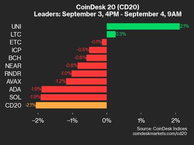 9am CoinDesk 20 Update for 2024-09-04: leaders