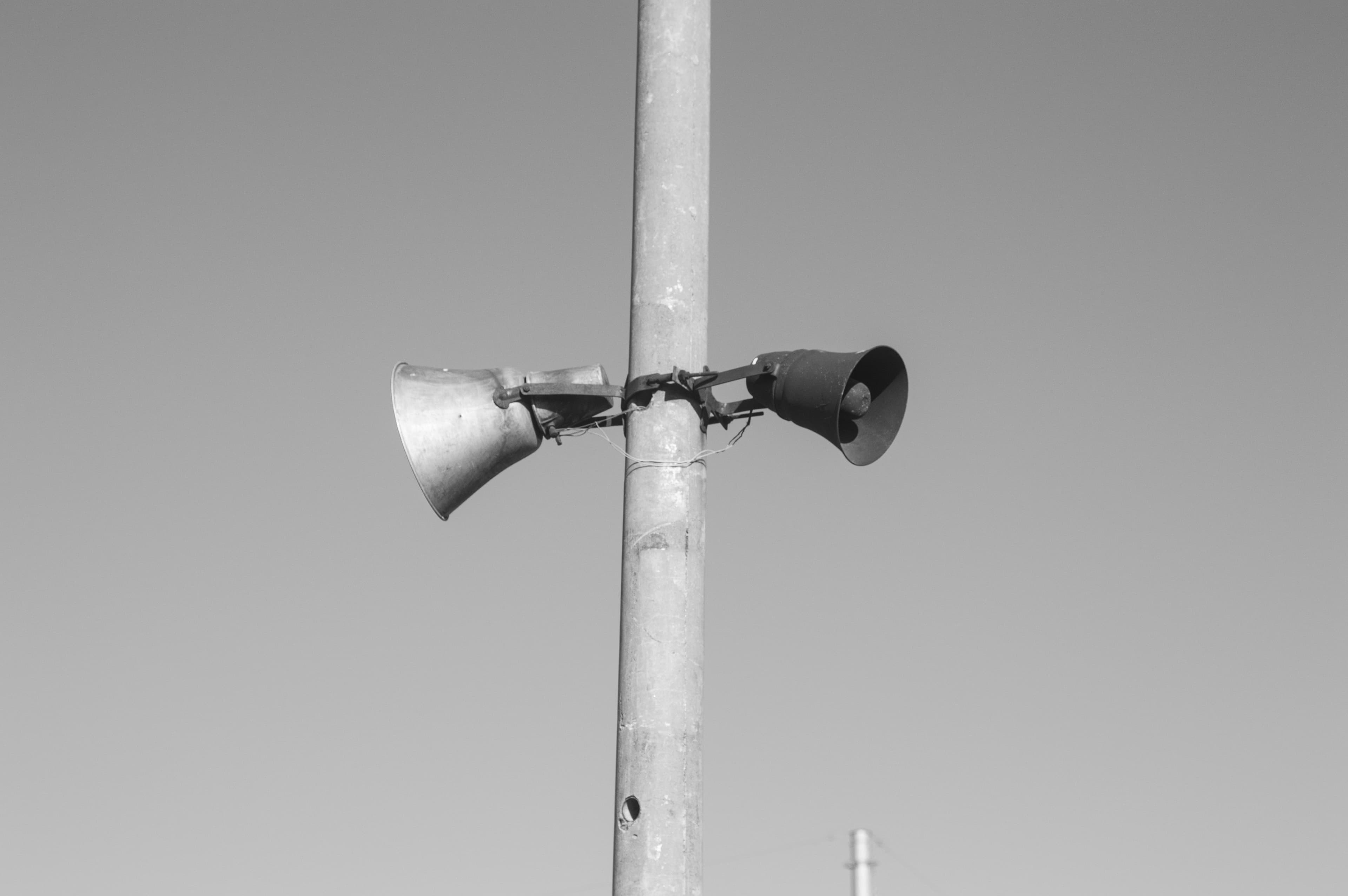 Megaphone (선인장 mustachescactus/Unsplash)