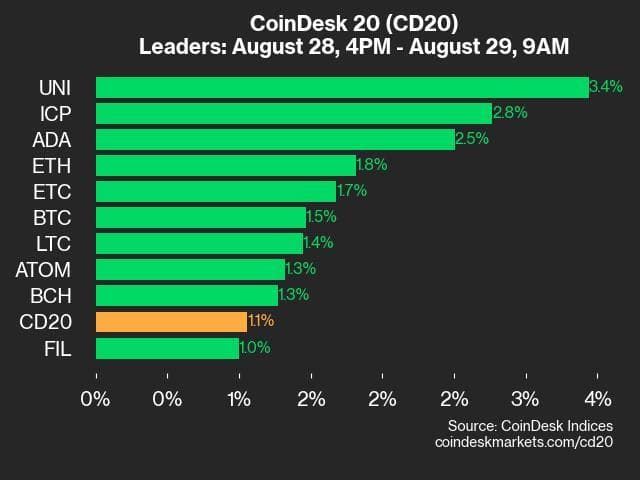 9am CoinDesk 20 Update for 2024-08-29: leaders