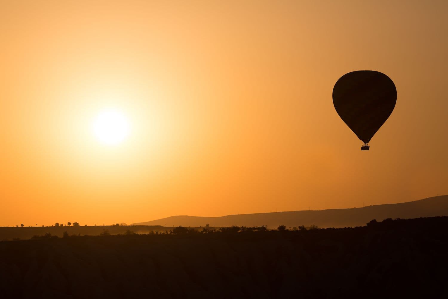 Hot air balloon at sunset