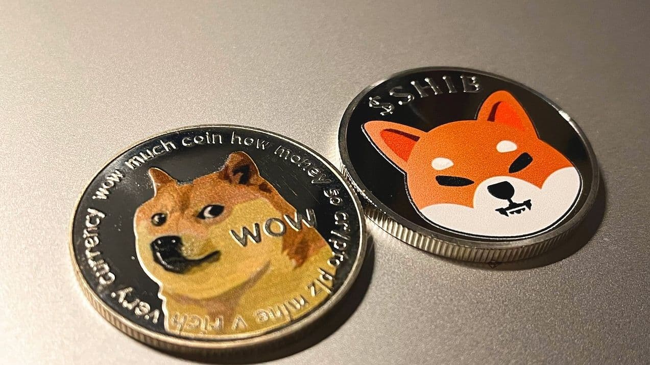 A physical representation of doge and shiba inu token. (Kevin_Y/Pixabay)