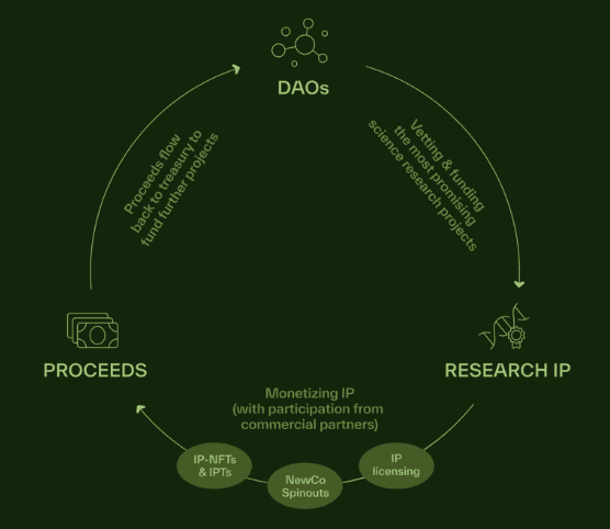 Conceptual illustration of a "BioDAO," from the BIO project documentation (BIO)