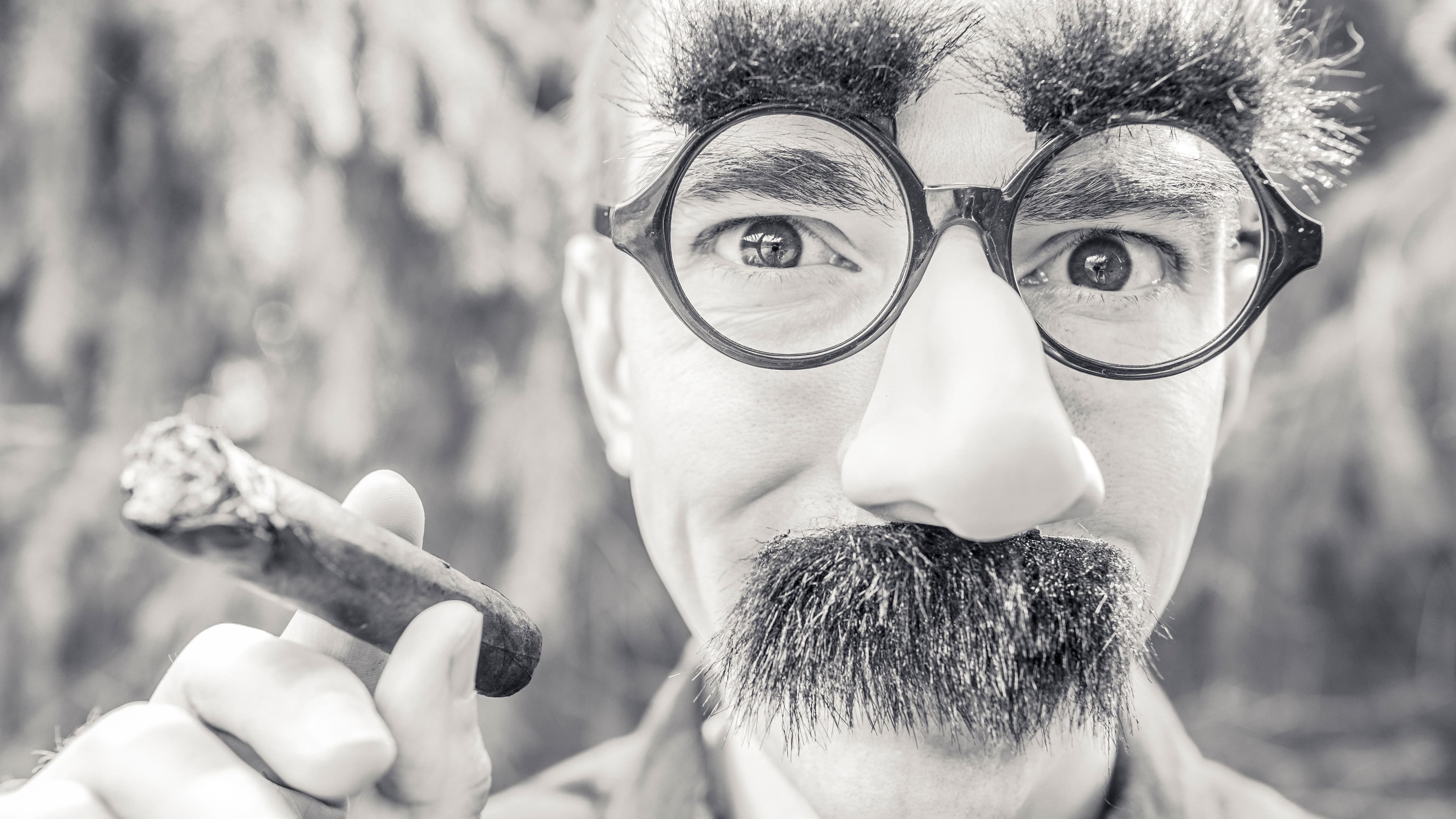 Man wearing Groucho glasses (Wikimedia Commons)