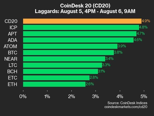 9am CoinDesk 20 Update for 2024-08-06: laggards