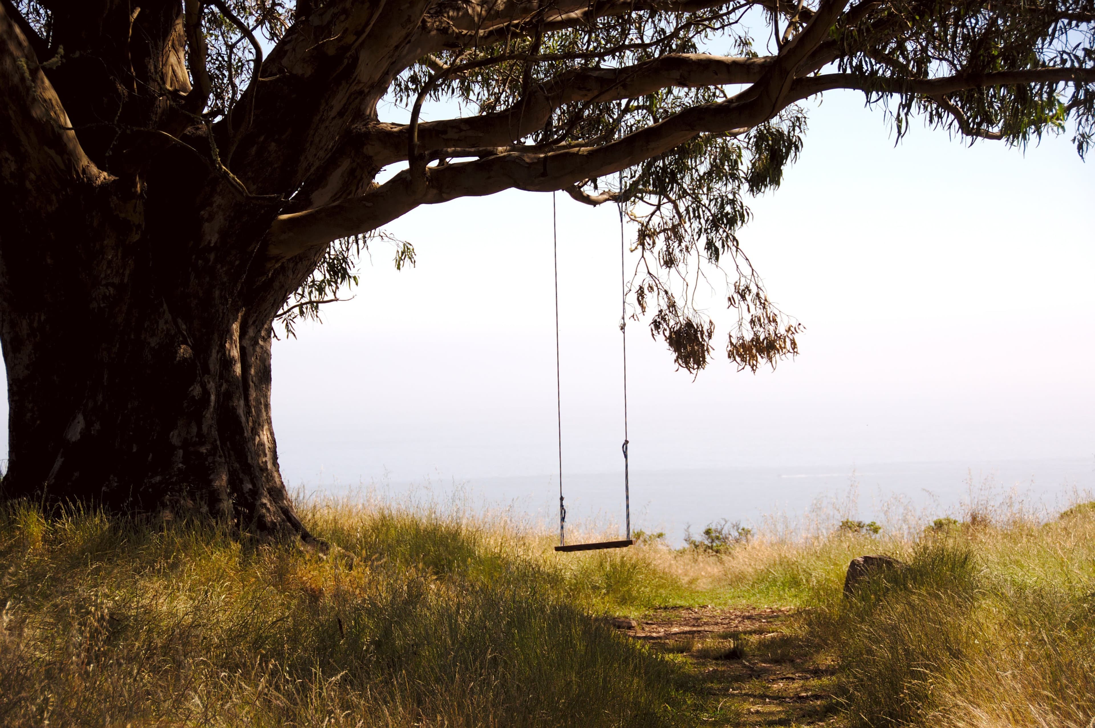 Swing (Luke Chui/Unsplash)