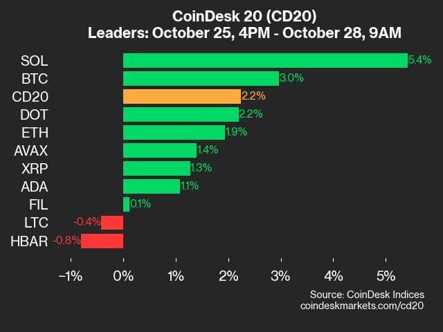 9am CoinDesk 20 Update for 2024-10-28: leaders