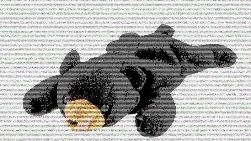 Blackie Beanie Babies  (National Museum of American History, modified by CoinDesk)