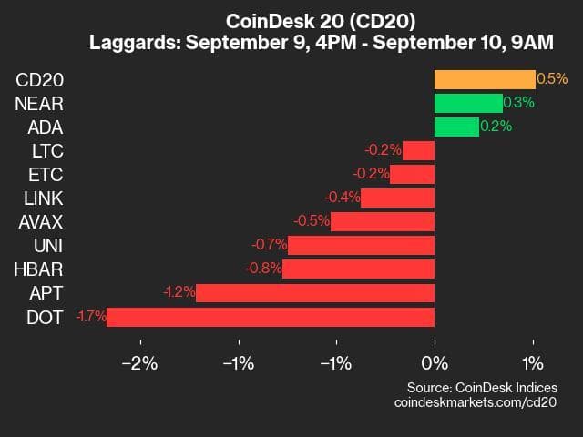 9am CoinDesk 20 Update for 2024-09-10: laggards