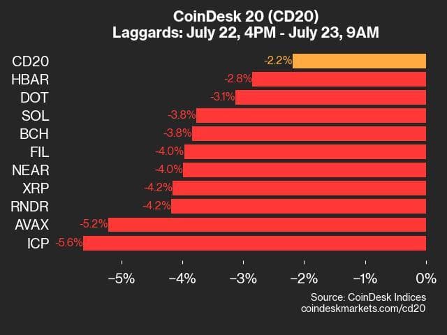 9am CoinDesk 20 Update for 2024-07-23 - laggards