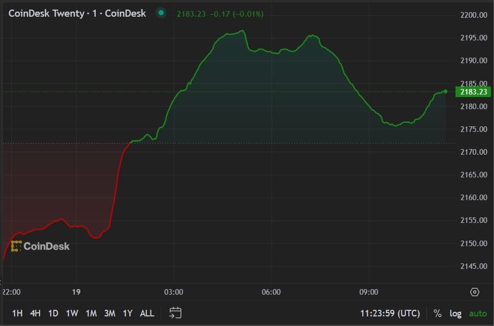 CD20 FMA June 19 2024 (CoinDesk)