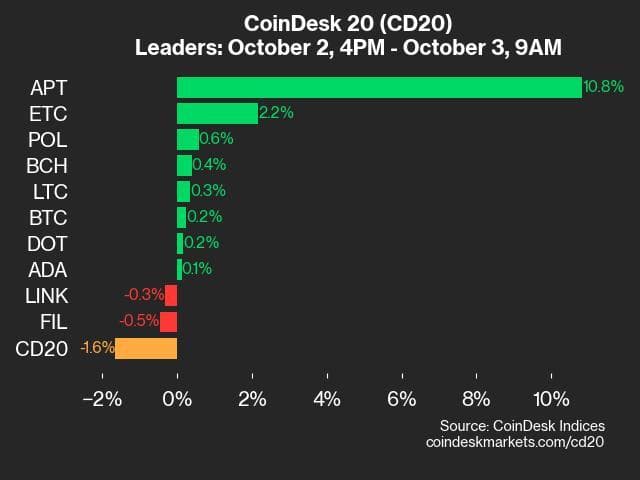 9am CoinDesk 20 Update for 2024-10-03: Leaders