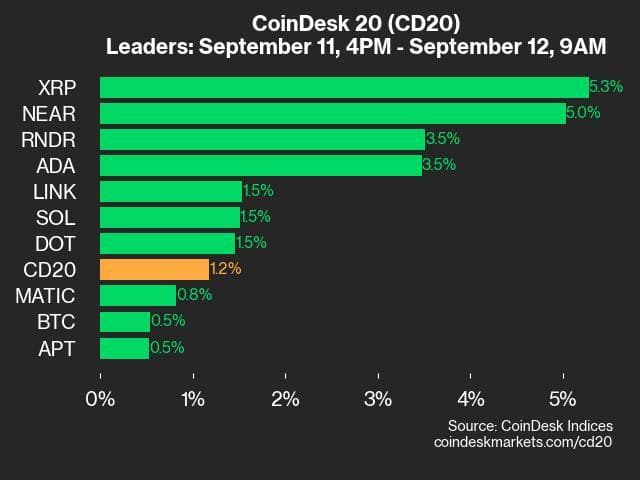 9am CoinDesk 20 Update for 2024-09-12: leaders