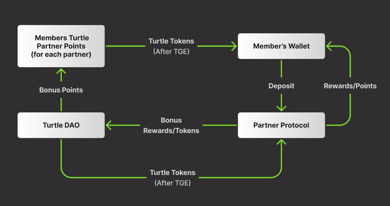 Schematic illustrating the "Turtle system" (Turtle Club)